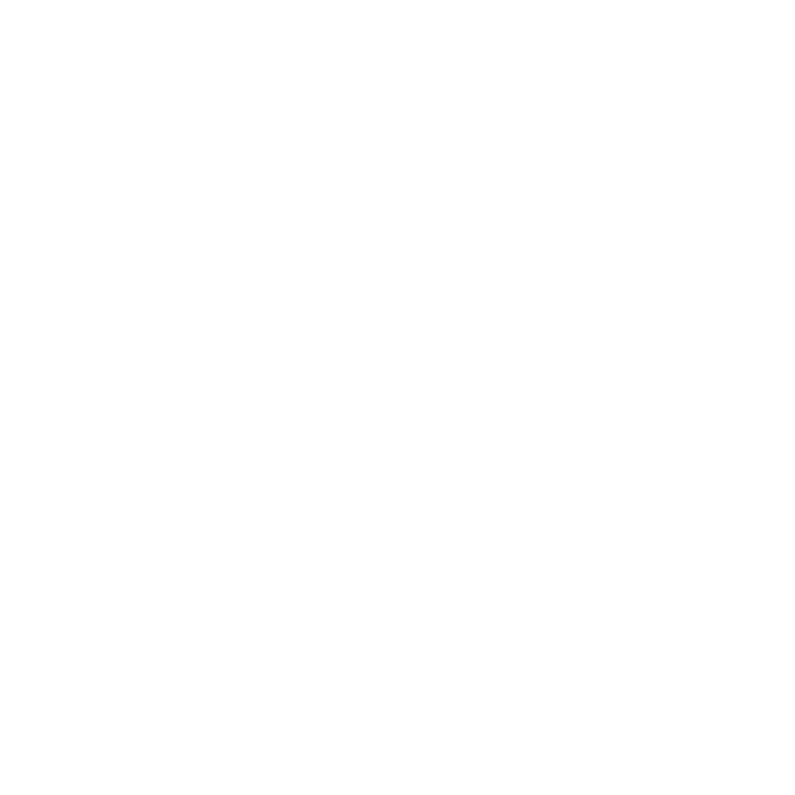 مؤسسه برمخ